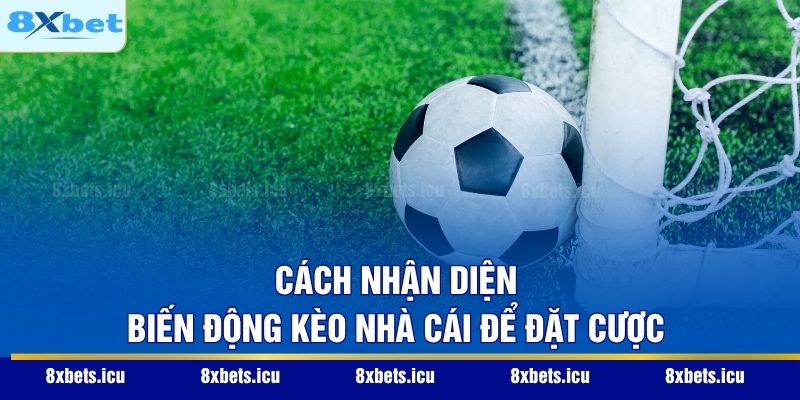 Tỷ Lệ Kèo Nhà Cái – Nghệ Thuật Phân Tích Và Quản Trị Rủi Ro Cách nhận diện biến động kèo nhà cái để đặt cược