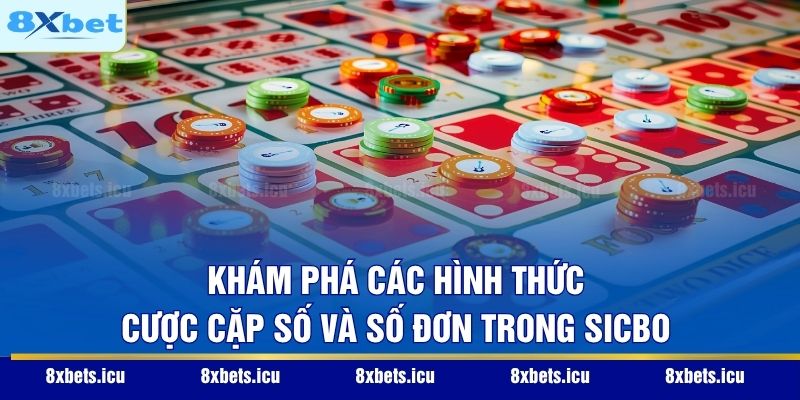 Khám phá các hình thức cược cặp số và số đơn trong Sicbo