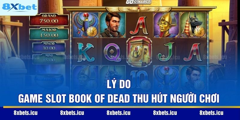 Lý do game slot Book of Dead thu hút người chơi