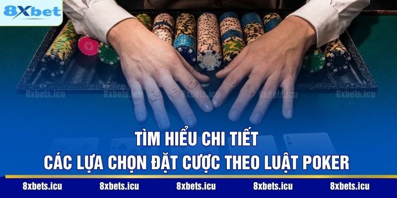 Tìm hiểu chi tiết các lựa chọn đặt cược theo luật Poker