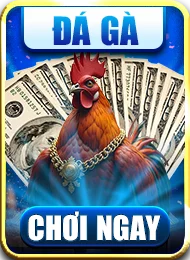 Đá gà